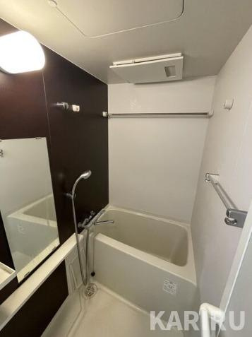 レジュールアッシュザ・パークロントの浴室