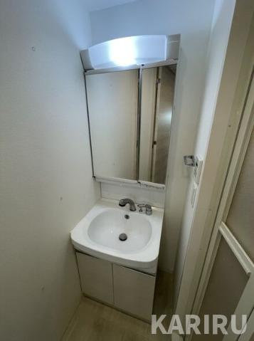 レジュールアッシュザ・パークロントの洗面所