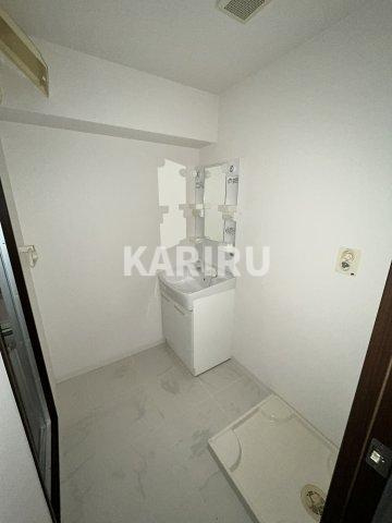 LIVE　SQUARE豊秀の洗面所