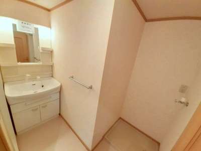 【洗面所】 | クリスマスローズⅢ | スペースが確保できる洗面所です