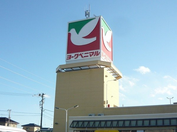 フィオーレ・ド・メゾンの周辺|ヨークベニマルまで1200m