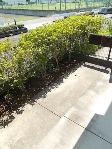 迫間ラッキーハイツⅠの庭