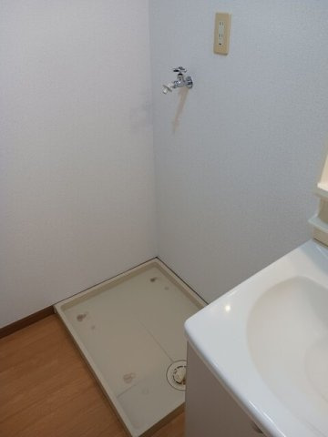 ハウスパピュラァのその他