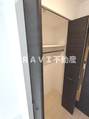 スワンズシティ大手前ソレイユ BRAVI不動産の収納|【スワンズシティ大手前ソレイユ】