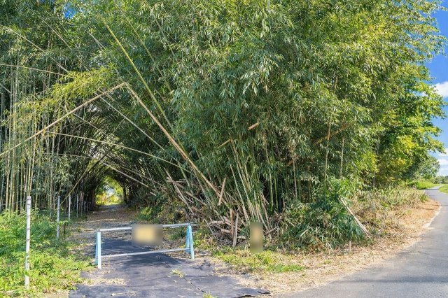 宇都宮市上籠谷町の外観