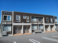 シェーン・ドルフⅡの画像