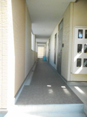 落ち着いたエントランスです