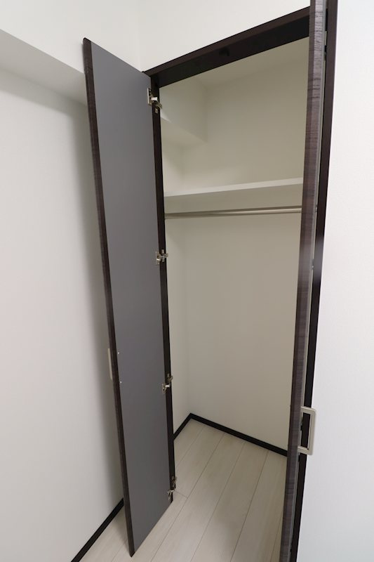 三郷市三郷１丁目の賃貸マンションの収納|たっぷりとした収納スペースです