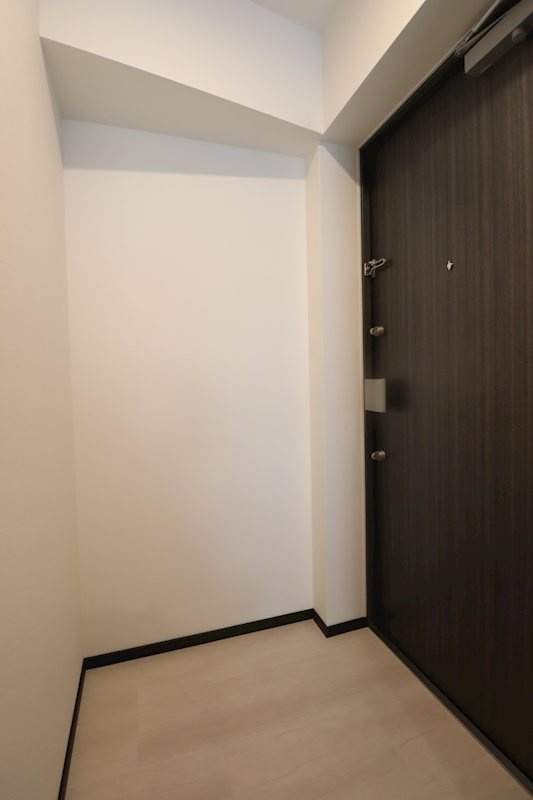 三郷市三郷１丁目の賃貸マンションの玄関|ゆったりとした玄関です