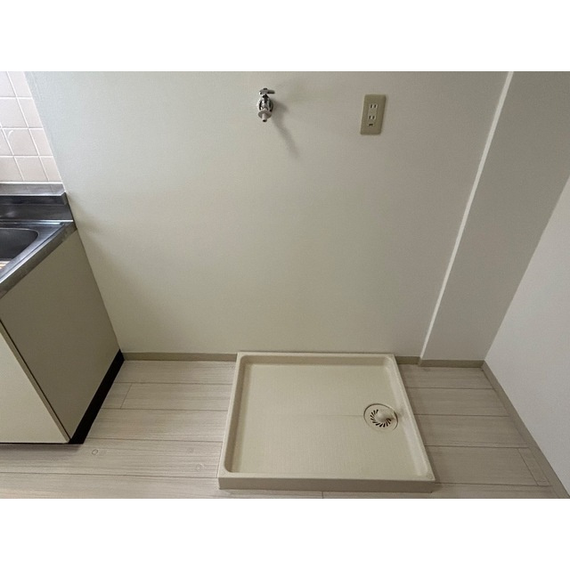 ヴェガのその他