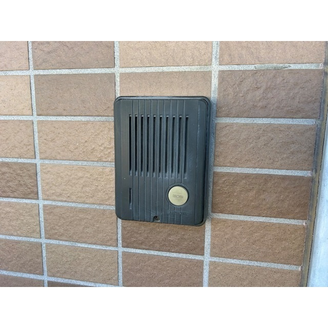 ヴェガのその他