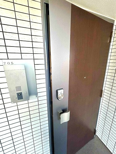 ルイシャトレ川口レックスフォートの玄関|玄関