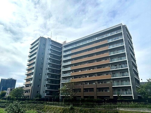 ルイシャトレ川口レックスフォートのその他|建物外観　別角度