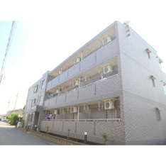 外観もきれいです