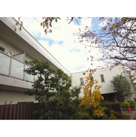 落ち着いた雰囲気の外観です