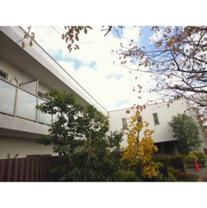 落ち着いた雰囲気の外観です