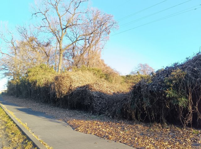 筑西市下江連の外観