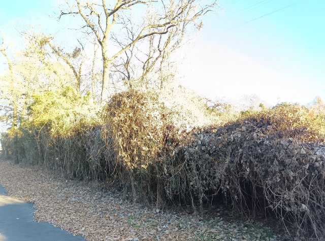 筑西市下江連の外観