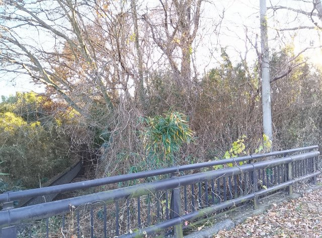 筑西市下江連の外観