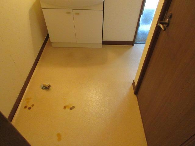 オアシス2の洗面所