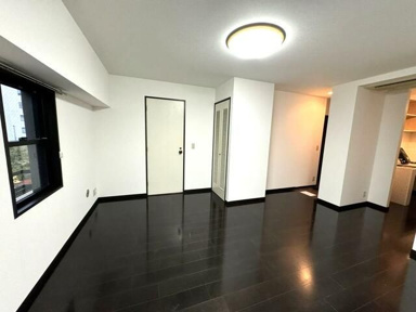  | ＶＡＮＱＵＩＳＨ（ヴァンキッシュ）