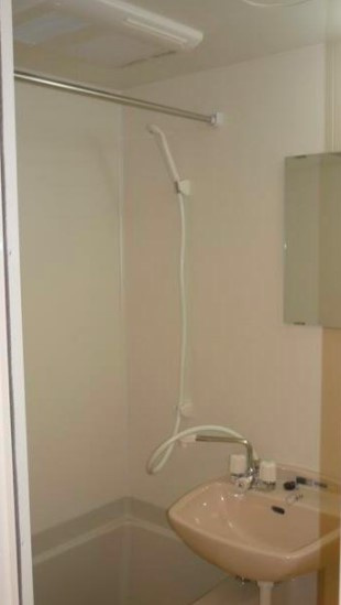 エスタシオン大成の洗面所