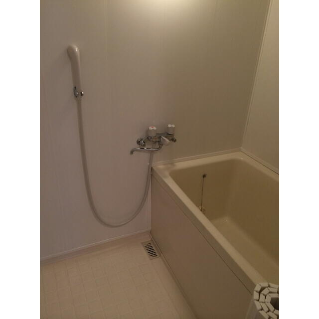 プラトゥモリの浴室