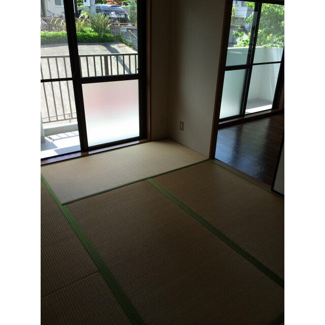 プラトゥモリのその他