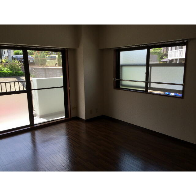 プラトゥモリのその他