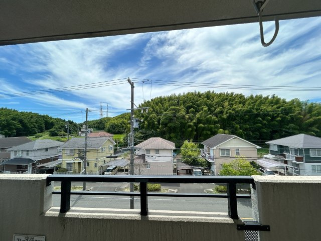 シードルハイツⅢの展望