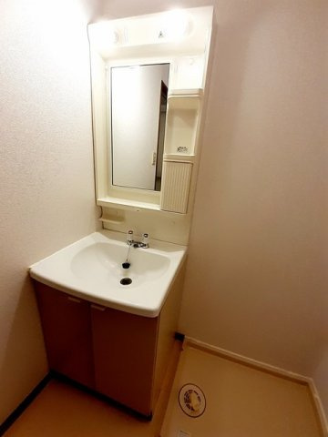 ドミール加佐の洗面所