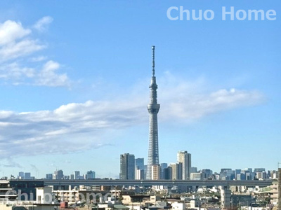 【展望】 | ニックハイム渋江公園 | 手を伸ばせば、ふれることが出来そうな環境が、そのままインテリアになったような印象です。その豊かな眺望にふさわしい空間には、通風・採光にも優れ、心地よい光と風があふれています