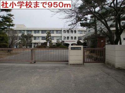 【周辺】 | シンヴィオシスＢ | 社小学校まで950m