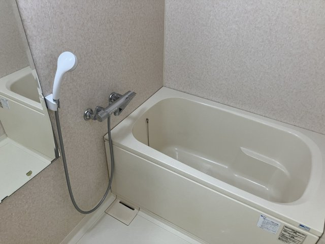 アメニティマンションの浴室