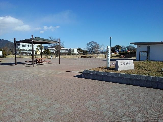 こいなのその他