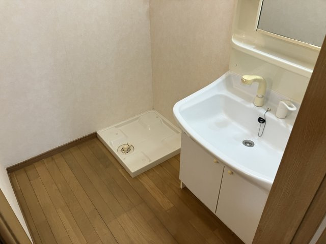 パレス小沢7の洗面所