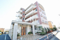 ルネ　シェスタの画像