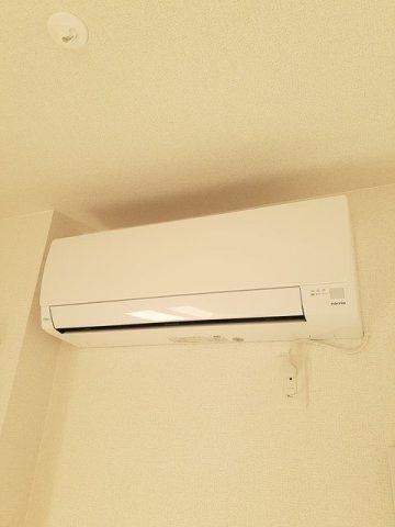 セレーノイルミオ末永のその他