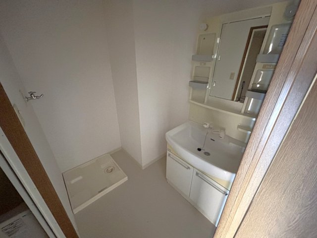 スプリングス赤坂Ⅰの洗面所