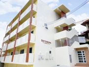 エリスリーナの画像