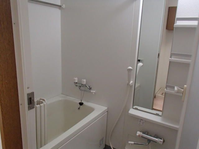 アウレア・レックスの浴室