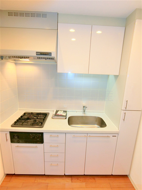 プロスペクト大森海岸のキッチン|2口ガスシステムキッチン　