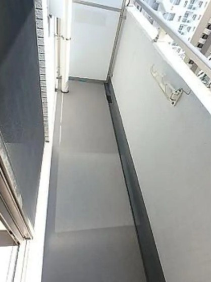ガラ・グランディ西新宿のバルコニー