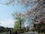 善福寺公園まで800m