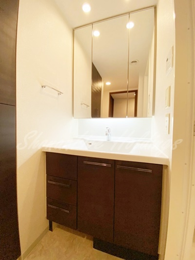 パークアクシス大船の洗面所