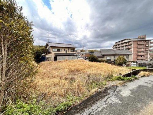 知多市岡田字東泓