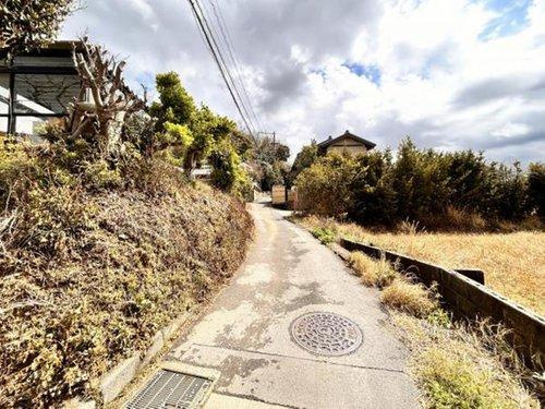 知多市岡田字東泓の前面道路含む現地写真|R6.3.29撮影　現地写真