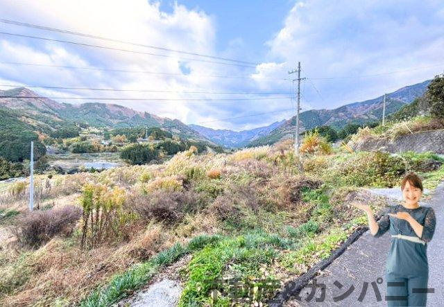 東温市河之内の棚田(803坪)