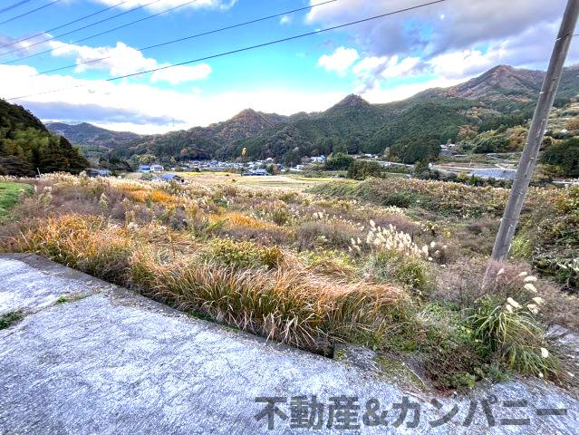 東温市河之内の棚田(803坪)の外観|外はこのようになっています