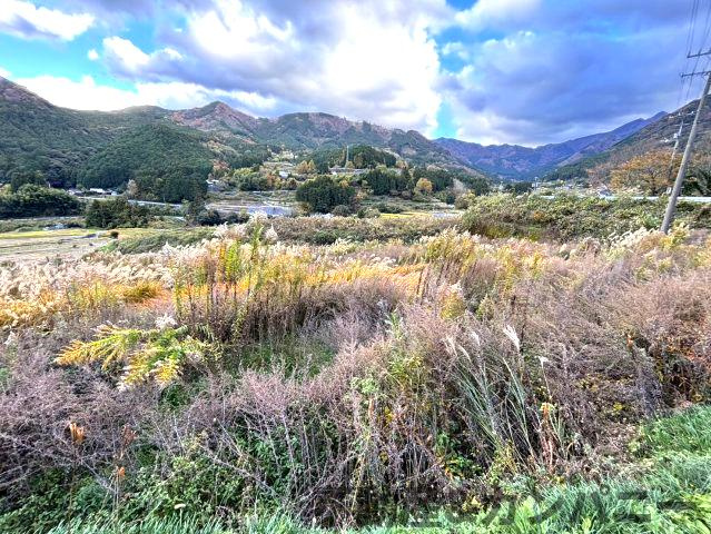東温市河之内の棚田(803坪)の外観|外はこのようになっています